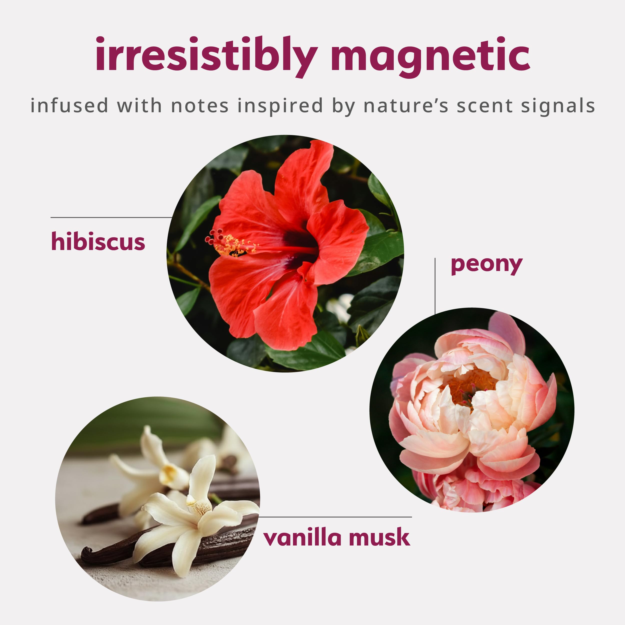 plusOne Pheromone Inspired Perfume Oil – Floral Vanilla Musk, 0.34 fl oz