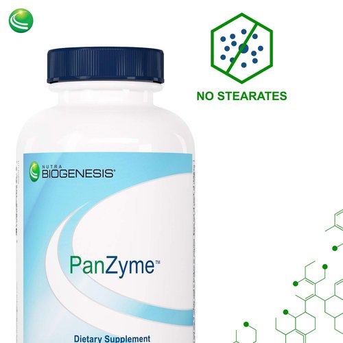 Nutra Biogenesis PanZyme - Betaine HCL with Pepsin, Pancreatin, Lipase and Protease, Cellular Energy, Nervous System and Metabolic Health Support - 180 Capsules
