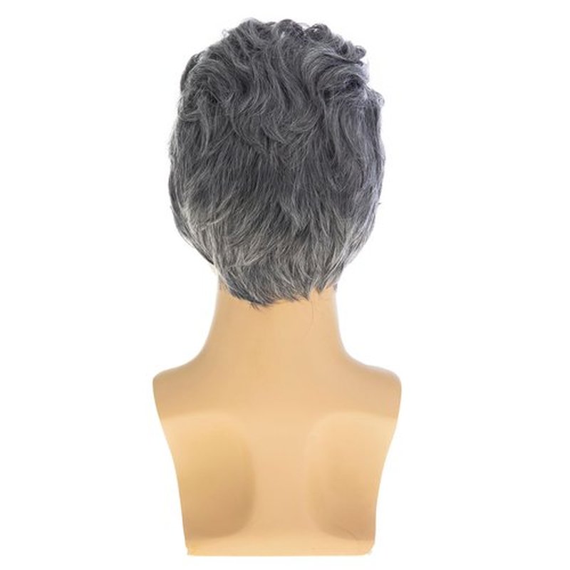 Baruisi Mens Grey Wig Short Wavy Layered Synthetic Hair Halloween Cosplay Wigs for Male