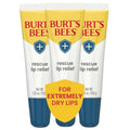 Burt's Bees Lip Relief - 100% Natural Shea Butter & Echinacea Formula | 0.35 Ounces