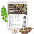 Groundio Moringa Seeds for Planting, 2 OZ 100% Natural Semillas de Moringa, Non- GMO | Premium PKM1 Quality | High Germination | USDA Zone 9-11