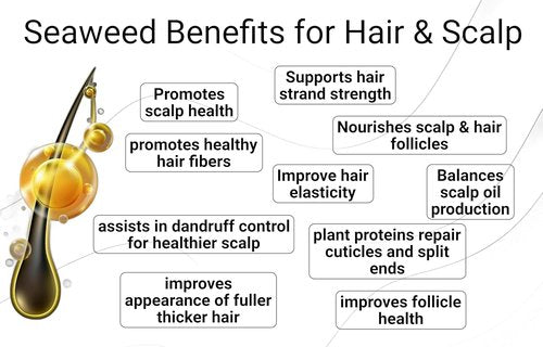 Skiennix Leave-In Conditioner - Seaweed, Kelp & Algae Enriched Hair Treatment | 8.5 fl. Oz - Frizz Control & Shine