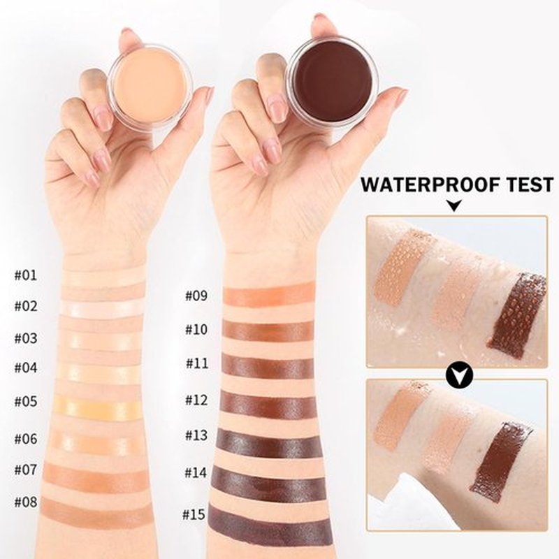 Regine Switzerland Under Eye Concealer - Dark Circle Corrector & Brightener | Full Coverage (01 Chantill)