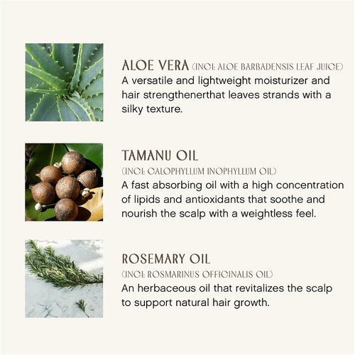 Innersense Organic Beauty - Fragrance-Free Leave-In Conditioner | Hydrating & Detangling | Non-Toxic, Cruelty-Free (10 fl oz)