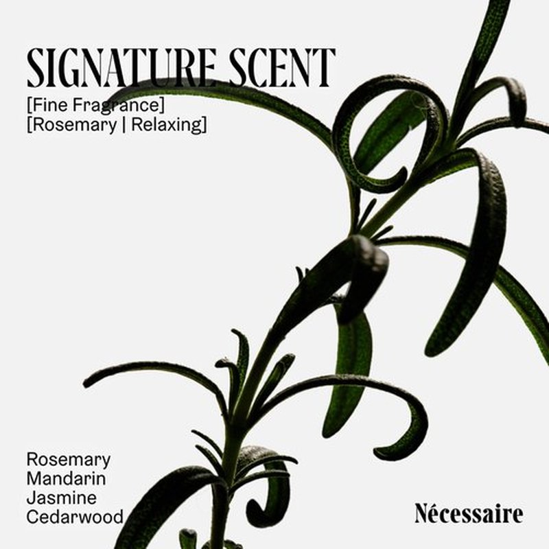 Nécessaire Rosemary Hair Duo | Multi-Protein Strengthening Rosemary Shampoo and Conditioner Set For Thinning Hair. For Women + Men. Free Of Sulfates. Color-Safe. 250 ml / 8.4 oz