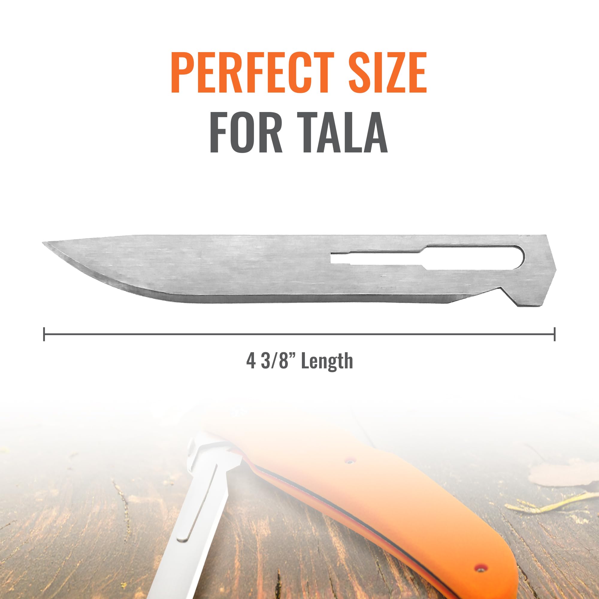 Wiebe Tala Replacement Blades (12-Pack) | Surgical-Grade Scalpel Blades for Hunting & Game Processing