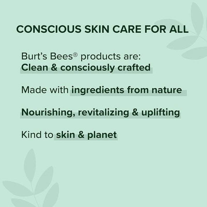 Burt's Bees Elderberry Lip Balm - Antioxidant-Rich, Tint-Free Natural Lip Care | 0.15 oz Tube