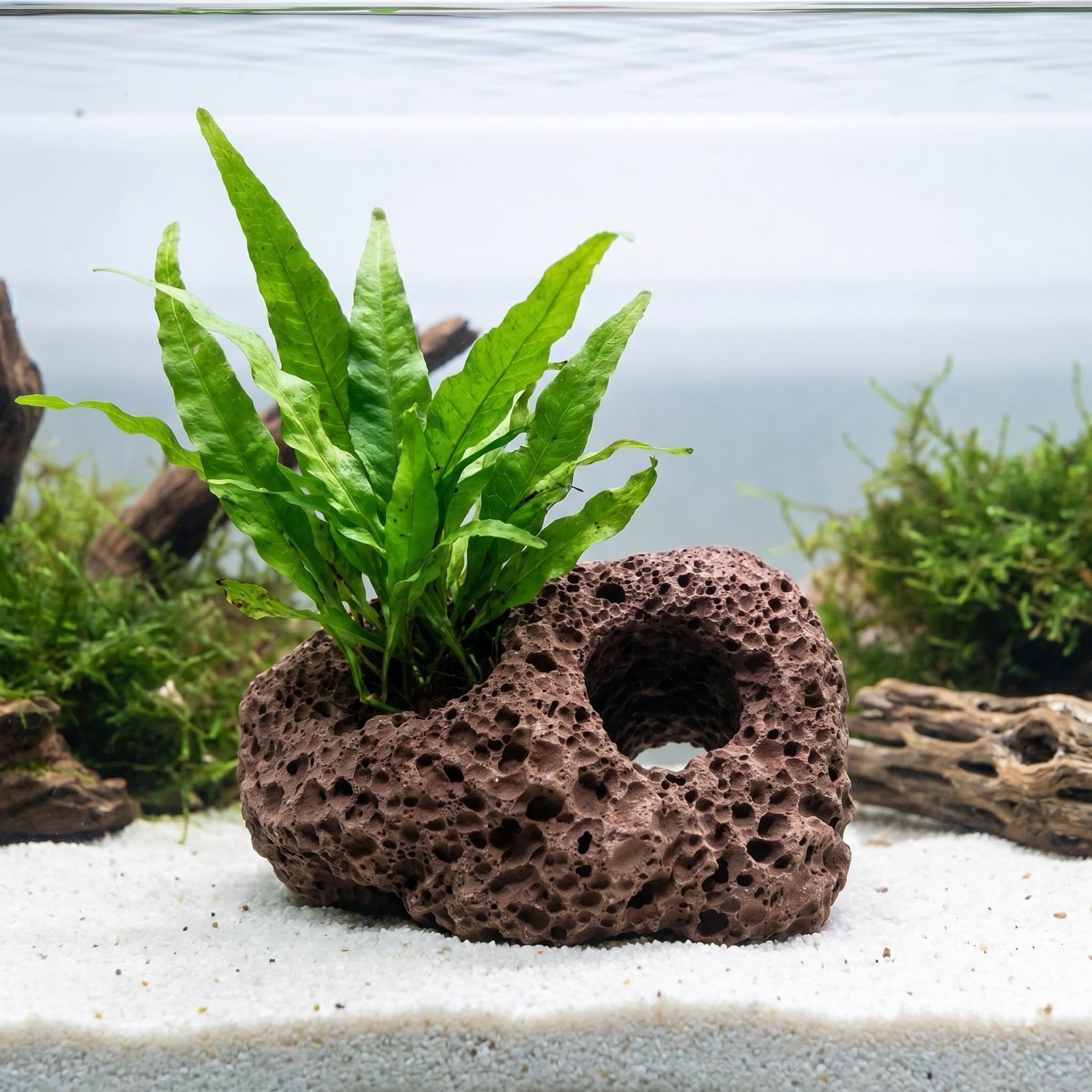 Housoutil 6Pcs Aquarium Volcanic Rocks Ornaments 3.93X2.75X1.57In Fish Tank Decorative Lava Stones Plant Fixers for Aquatic Plant Stability and Small Fish Shelter