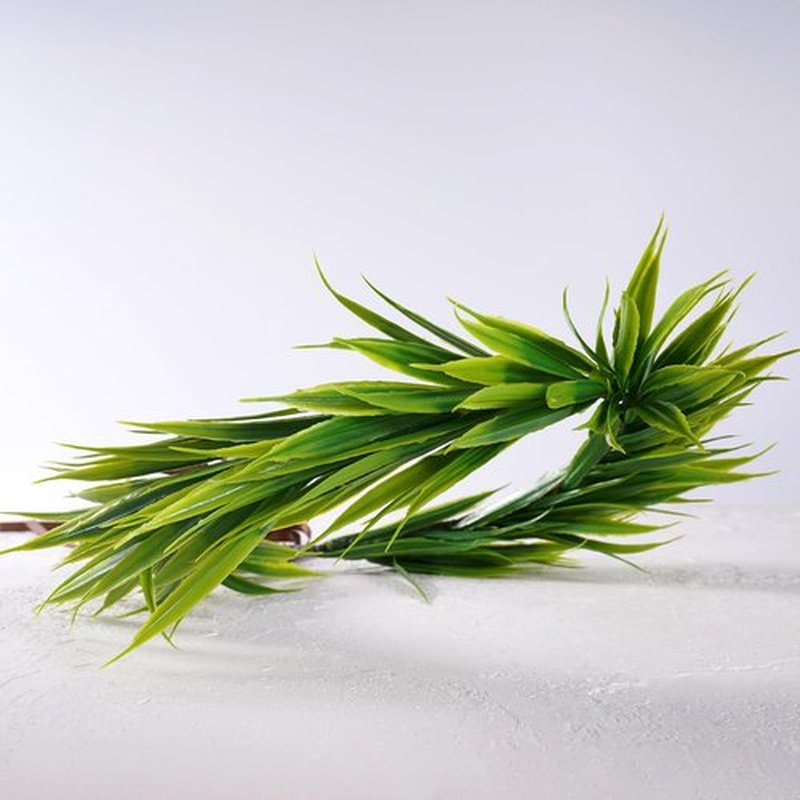 KorViSHOW Hawaiian Leaf Lei Crown Headband - Artificial Tropical Green Leaves Headpiece for Girls Women Hawaii Decor Beach Luau Party Costume Accessories