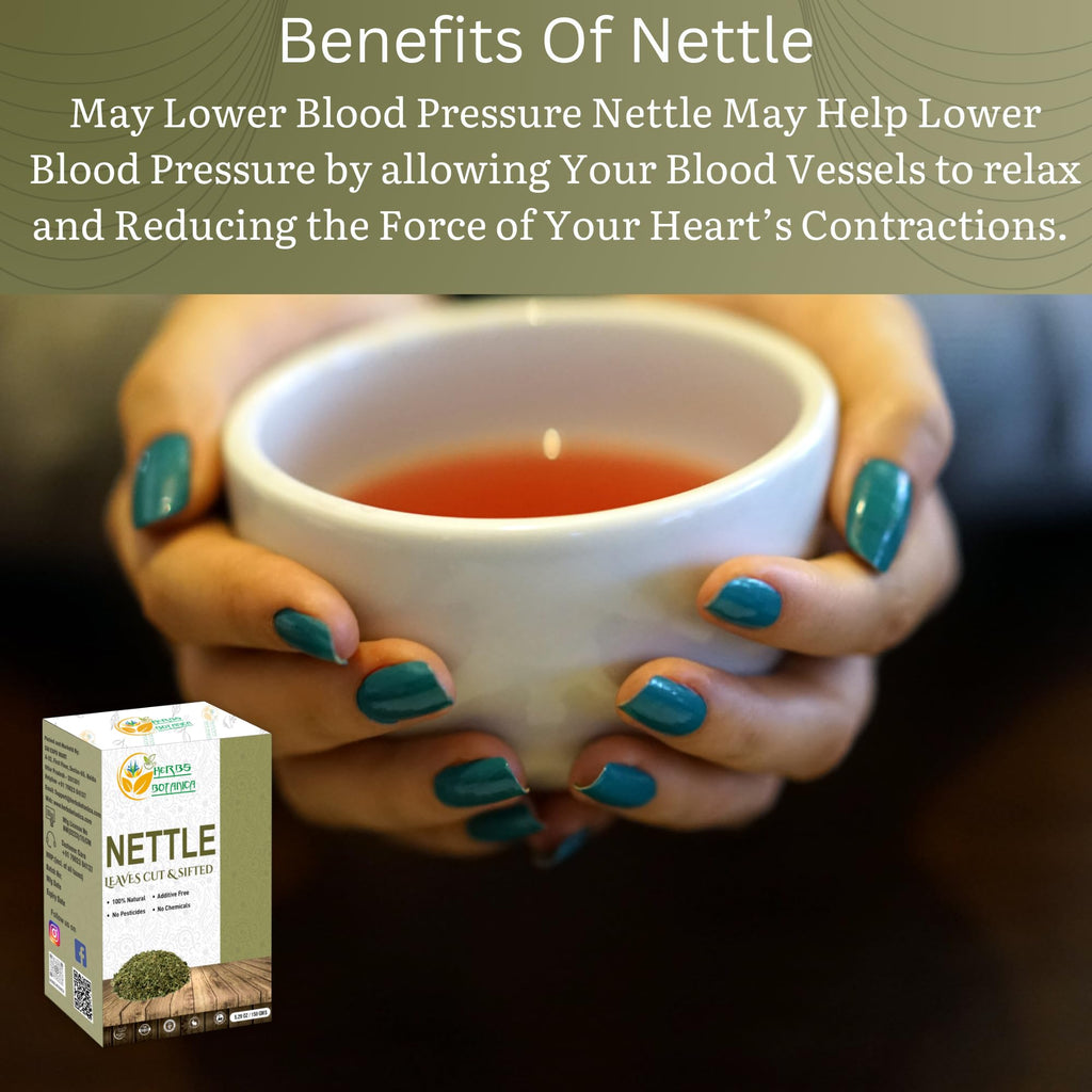 Herbs Botanica Nettle Leaf for Tea Cut and Sifted for Nourishing Herbal Tea, Smoothies Infusions, Stinging Nettle Leaf Ortiga Wellness Supplement Vegan Non GMO 5.29 oz