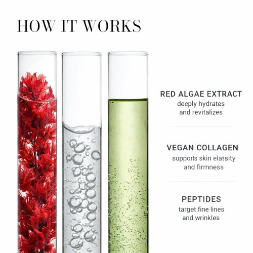Noku Marine Cream - EWG Verified Ultra-Hydrating Anti-Aging Moisturizer with Red Algae & Vegan Collagen | 50 ml | Vegan, Cruelty-Free, Award-Winning