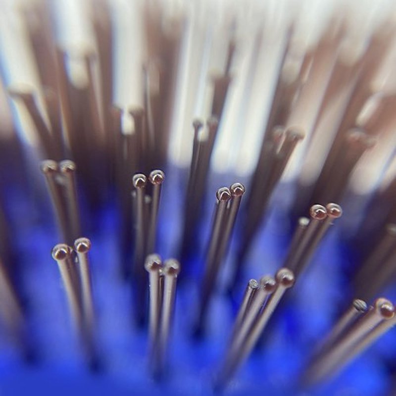 Phillips Brush Light Touch 6 Sapphire Blue Hair Brush & Petite Sized Combo Pack by Phillips Brush