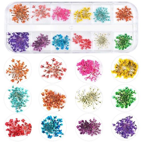 KISSBUTY 36 Colors Dried Flowers & Leaves Nail Art Set, 3D Applique Nail Decoration Sticker, Daisy, White, Pink, White with Yellow, Green