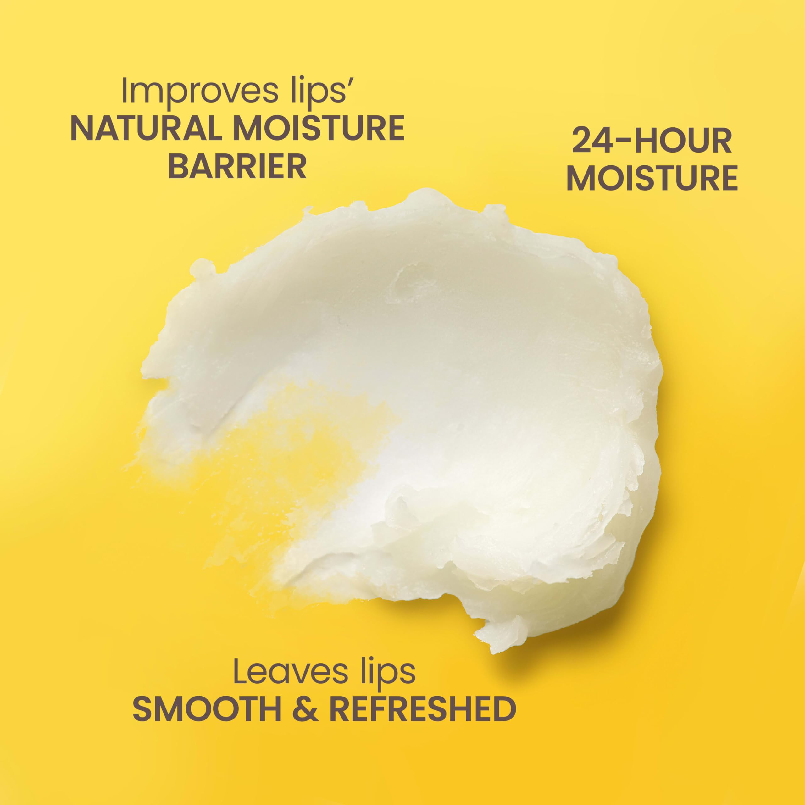 Burt's Bees 100% Natural Moisturizing Lip Balm, Vanilla Bean - 4 Tubes