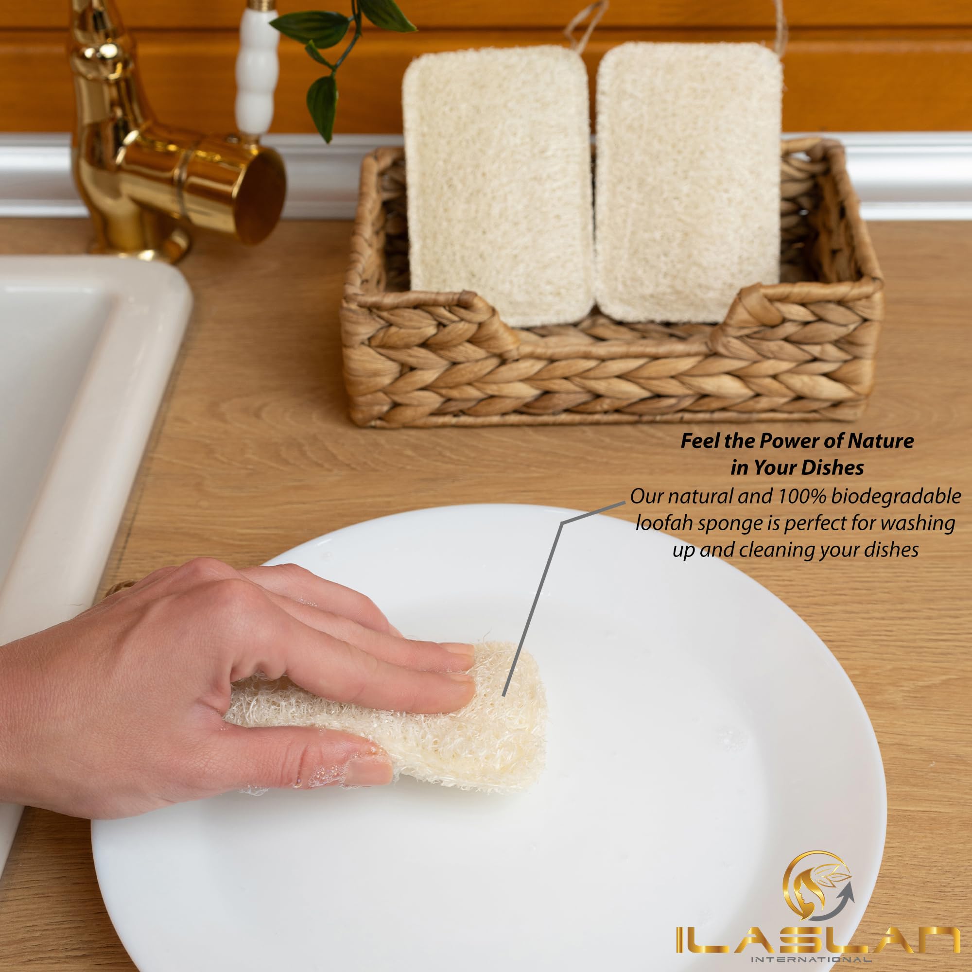 Natural Loofah Dish Sponge Scrubber | Double-Sided | Eco-Friendly, Natural,%100 Organic, Biodegradable and Reusable Dish Loofah Kitchen Sponges | 3 Count (1 Pack) (12X8 CM)