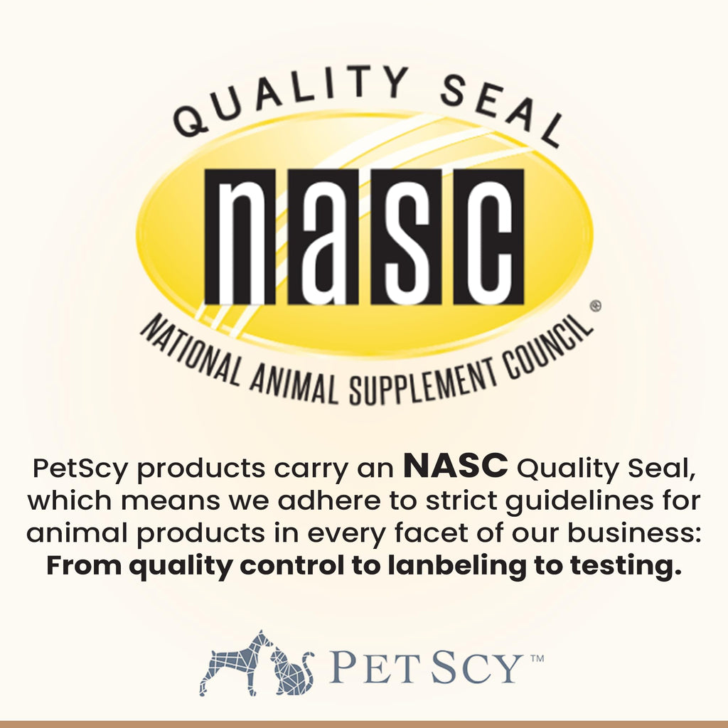 Petscy Keto Skin Relief Mousse for Dogs & Cats – 2% Chlorhexidine & 1% Ketoconazole – No-Rinse, Non-Greasy Mousse for Itchy, Dry, or Irritated Skin – Soothing Aloe, Easy Application - 7 fl oz