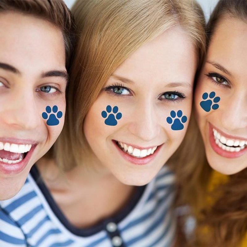 Harloon 20 Sheets 300 Pcs Paw Print Tattoos Temporary Paw Print Face Tattoos Dog Stickers Removable for Cheer Patrol Women Body Arm Foot(Blue)