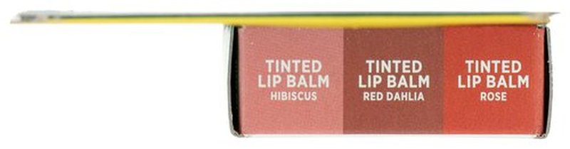 BURTS BEES Holiday Minis Lip Balm 3 Count, 1 EA
