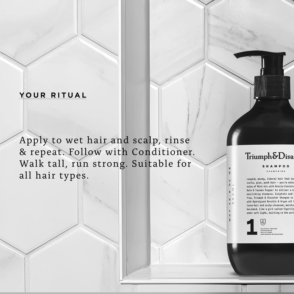 TRIUMPH & DISASTER | Shampoo, Deep Cleansing - Soothes & Hydrates Sensitive, Dry and Damaged Hair & Scalp with Keratin for Men & Women, 16.9 fl oz