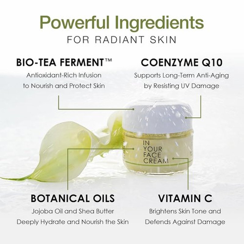 **IN YOUR FACE Anti-Wrinkle Cream - Luxurious Hydrating Moisturizer with Coenzyme Q10 & Vitamin C for Youthful Skin**