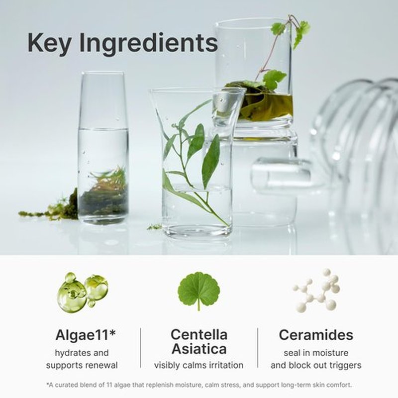 coeternal Calming Hydration Cream, Barrier-Repairing Korean Moisturizer with Ceramide NP, Niacinamide, Panthenol & Centella, Soothing Face Cream for Redness-Prone and Oily Skin, 50ml / 1.69 fl.oz.