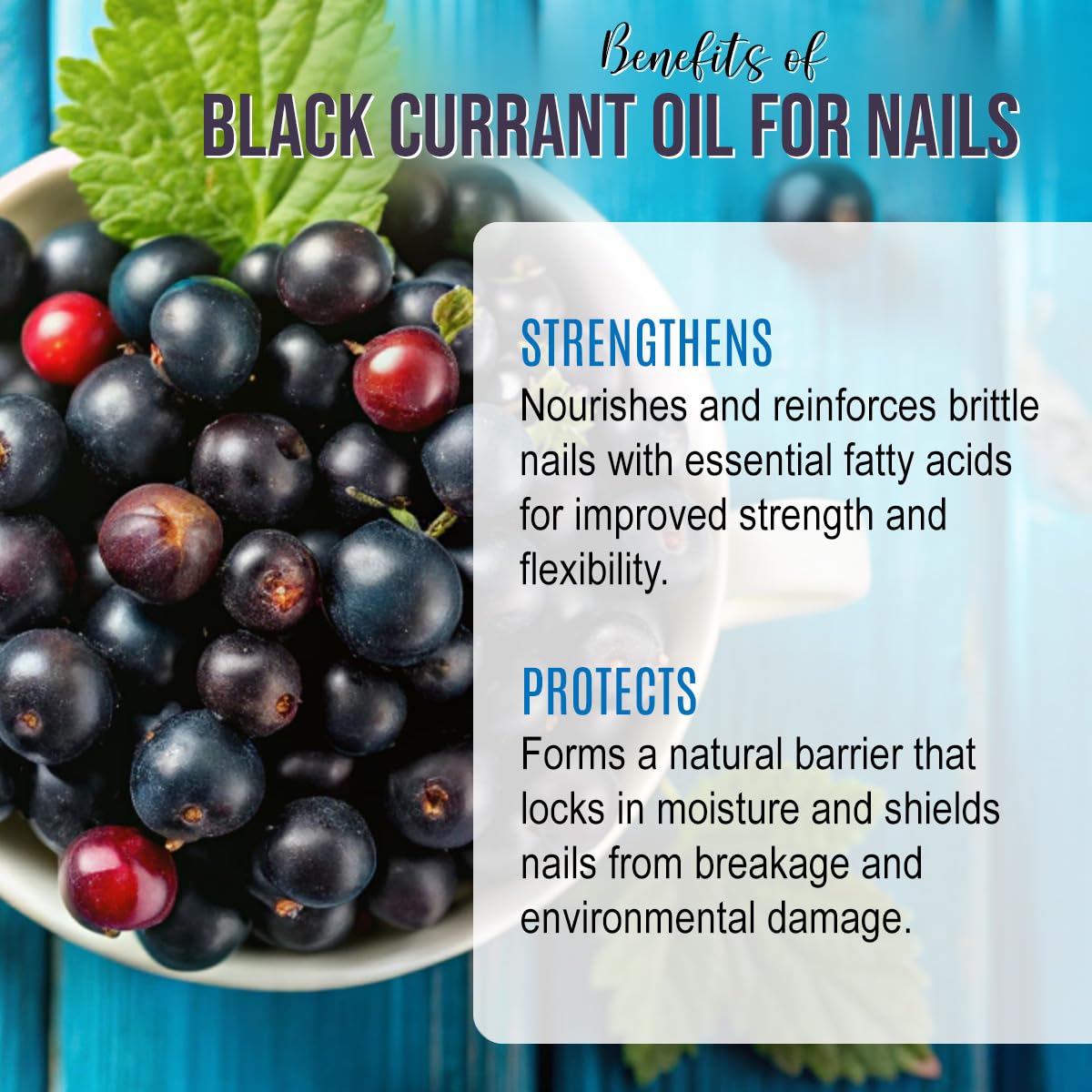 Renewalize Black Currant Seed Oil Cold Pressed – 100% Pure Natural Carrier Oil for Skin & Hair | Rich in GLA & Omega Fatty Acids | Moisturizer for Face, Scalp, Nails | 4 fl oz