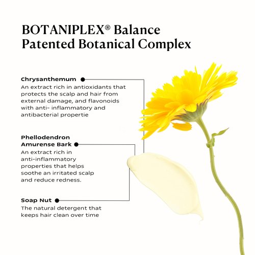 KAMEDIS Hair Conditioner Botanicals-Based. Moisturizer for Dry Damaged Hair & Sensitive Scalp. Contains Shea Butter, Coconut Oil & Argan Oil.16.9 Fl Oz.