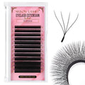 Arison Lashes 4D W Shape Eyelash Extension Natural Soft Volume Premade Fans Faux Mink Matte Black Cluster 12 rows(4DW-0.07-D-8-15mix)