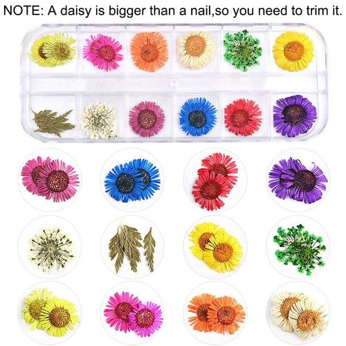 KISSBUTY 36 Colors Dried Flowers & Leaves Nail Art Set, 3D Applique Nail Decoration Sticker, Daisy, White, Pink, White with Yellow, Green