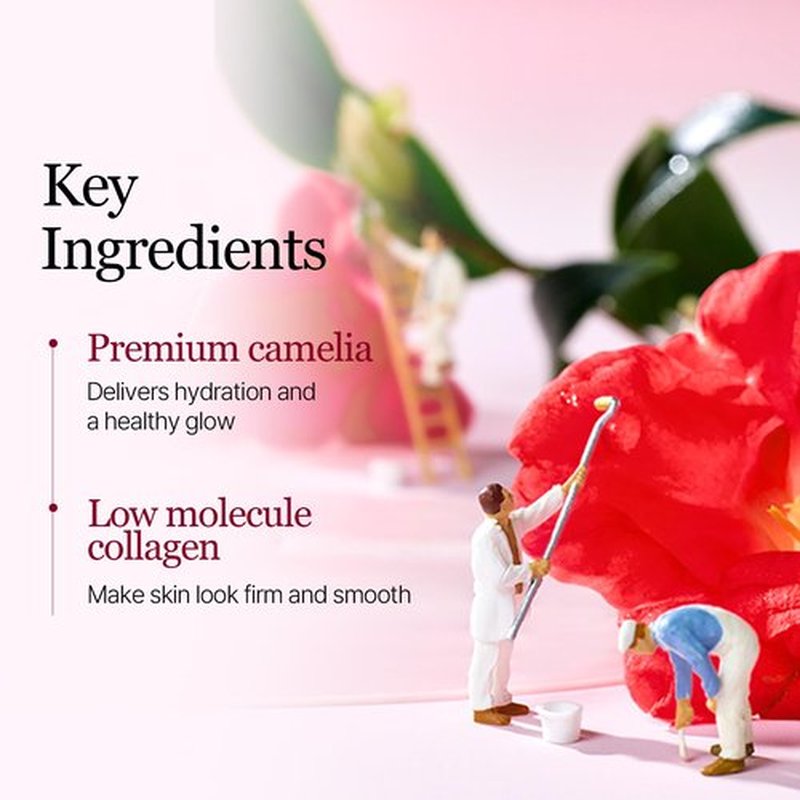ROUND LAB Camellia Collagen Mask, 30min Hydrogel Mask, Quick Hydration, Firming&Pore Minimizing, For sensitive skin, Micro molecule collagen, Facial Mask, 34 g/1.19 Fl Oz 4ea