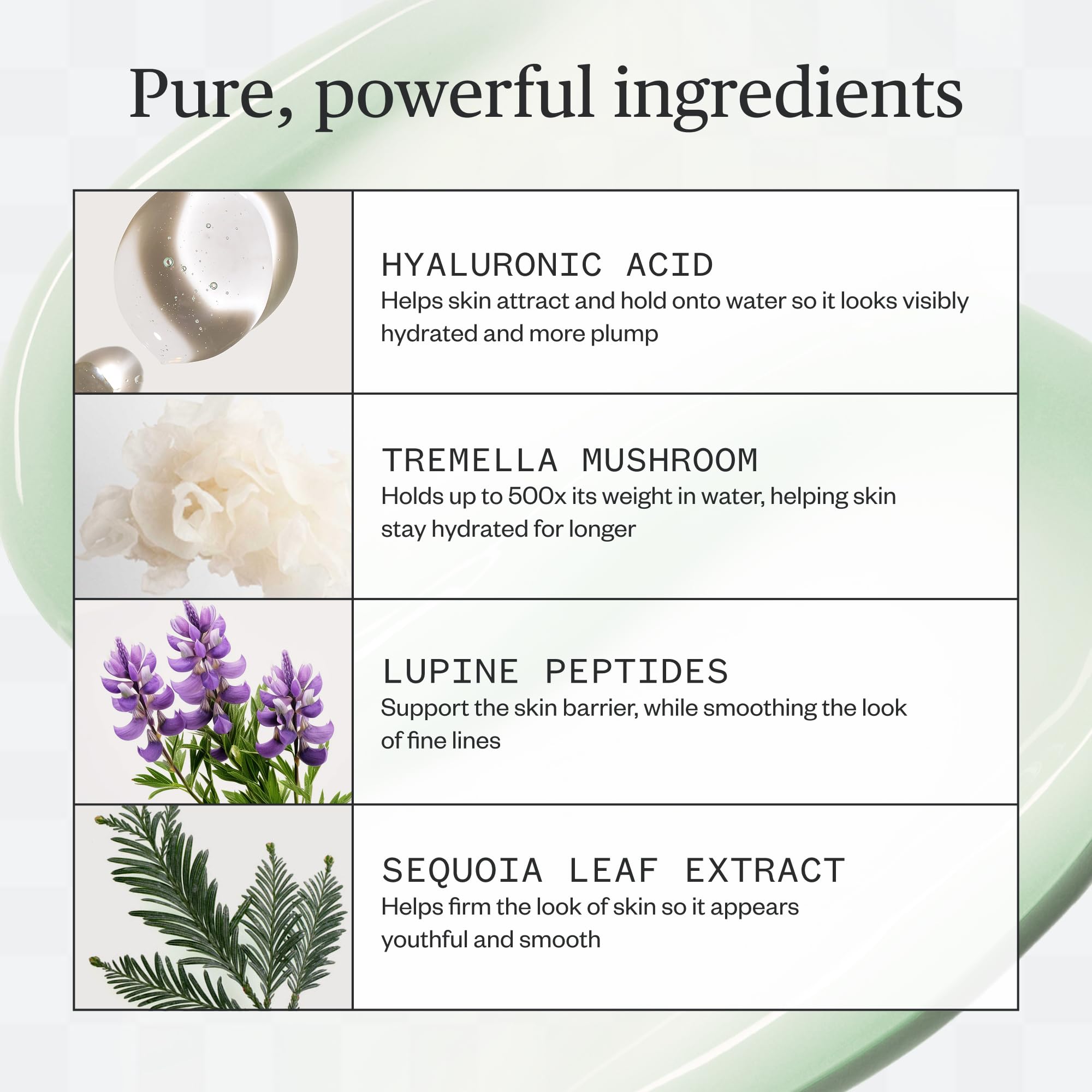 Ursa Major Women's Forest Water Hyaluronic Serum
