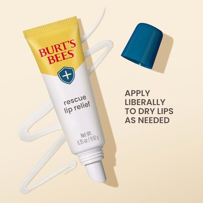 Burt's Bees Lip Relief - 100% Natural Shea Butter & Echinacea Formula | 0.35 Ounces