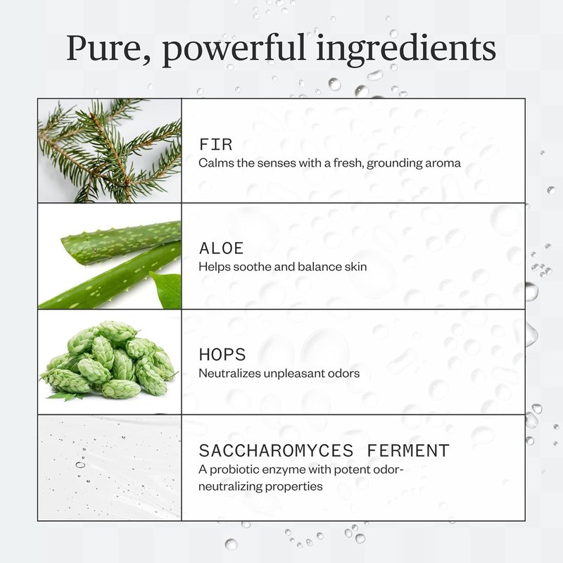 Ursa Major Forest Fix Spray Deodorant - Aluminum-Free, Vegan & Cruelty-Free | 1.79 Ounces