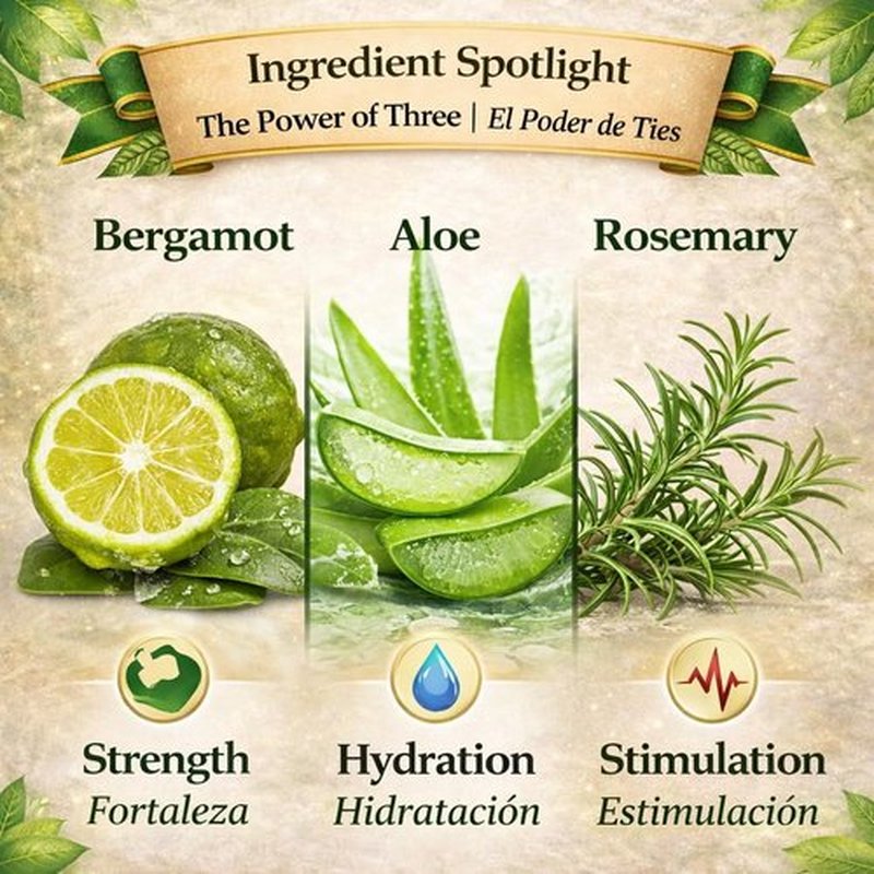 HIGH SUPREME Shampoo organic bergamot (16.9 fl oz) with aloe vera & rosemary SHAMPOO ORGANICO BERGAMOTA con Sabila & Romero Cont. net. 500 ml