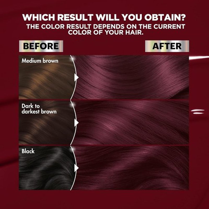 Garnier Nutrisse Ultra Color Hair Dye - Bold, Fade-Resistant Results for Up to 8 Weeks | BR2 Dark Intense Burgundy, 2 Count
