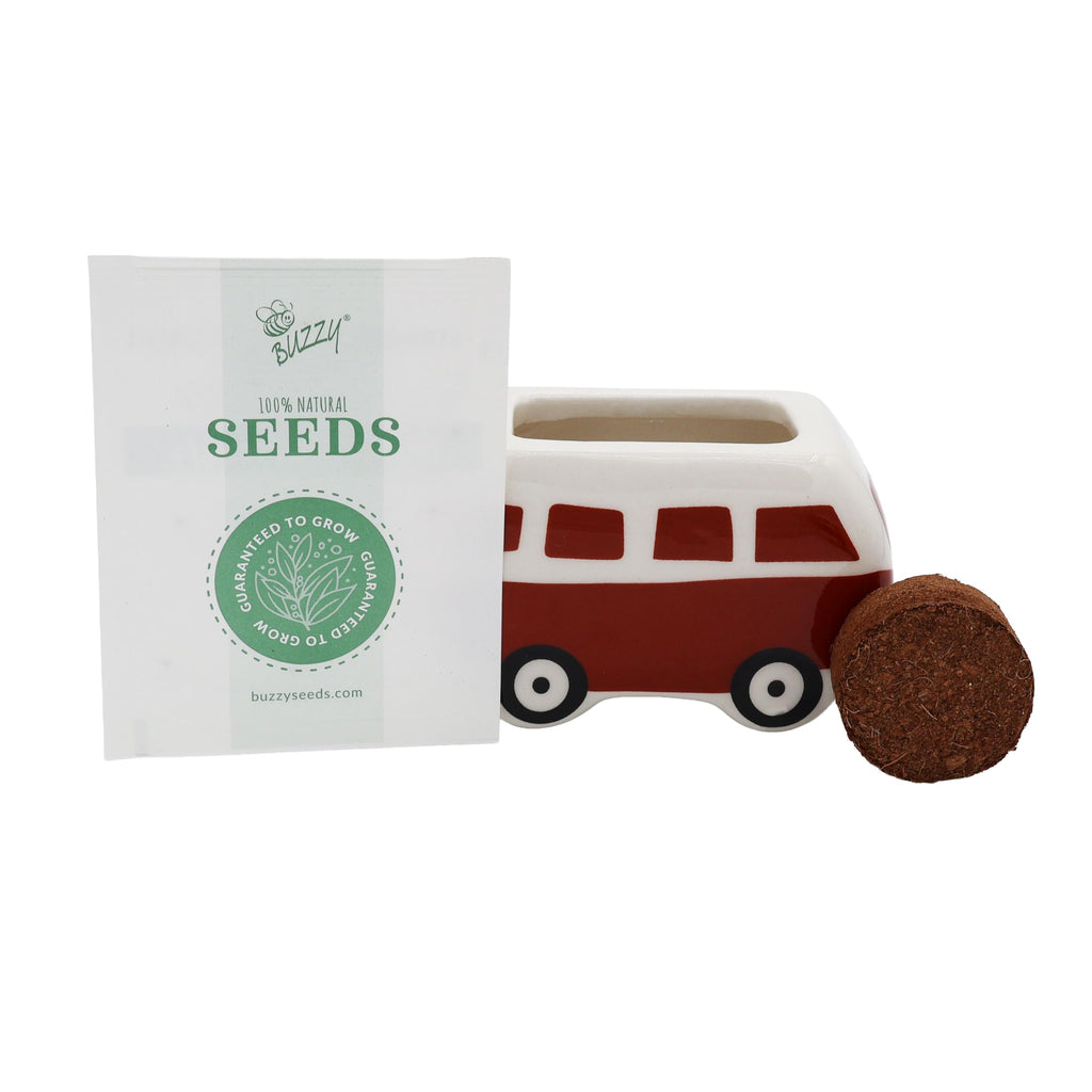 BUZZY Seeds Mini Ceramic Flower Bus Grow Kit 4-Pack - Bus Ceramic Planter - Complete Indoor/Outdoor Gardening Kit with Seeds, Coconut Husk Growing Medium & Genuine Pots - 100% Grow Guarantee