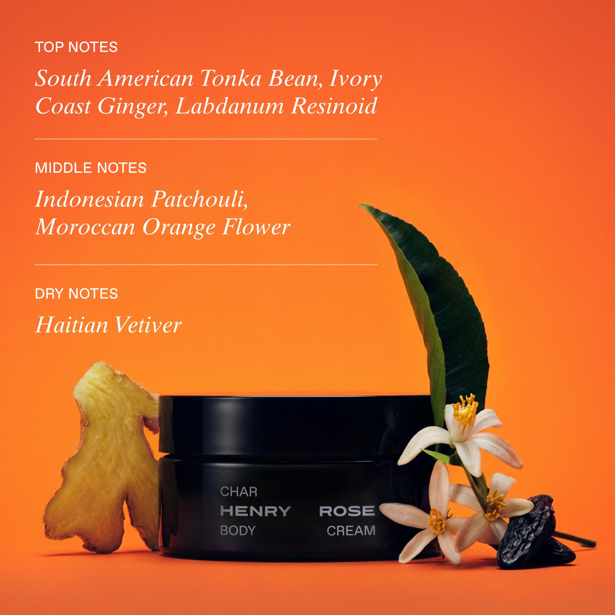 Henry Rose Body Cream - Clean, Hydrating Body Moisturizer with Shea Butter and Vitamin E + B5 - Warm Vetiver and Vanilla Bean Scent - Non Toxic Skin Care for All - Torn (6.7 oz)