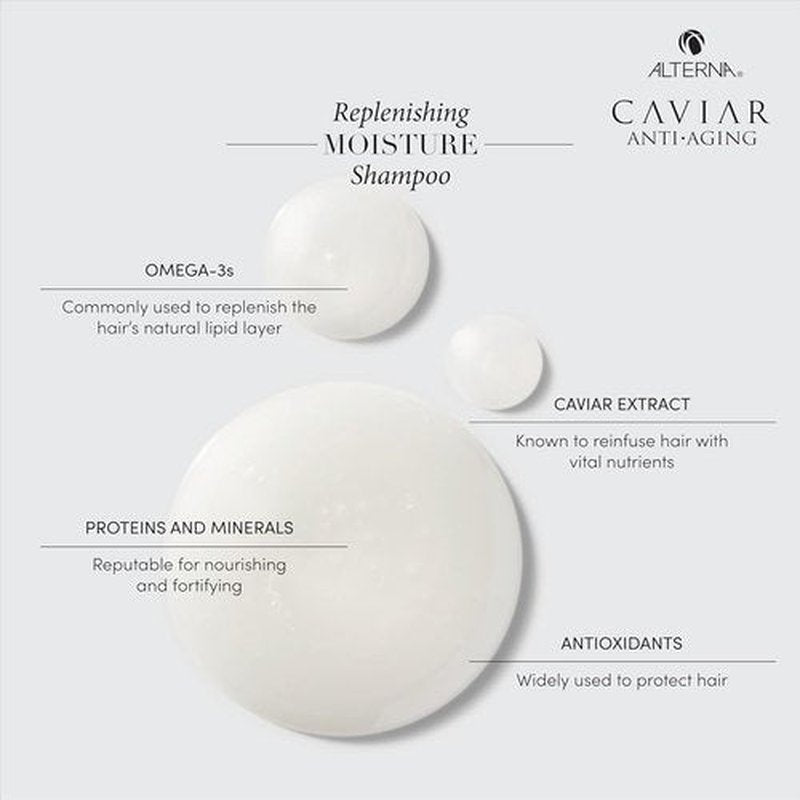 Alterna CAVIAR Anti-Aging Replenishing Moisture Shampoo - Hydrates & Restores Dry, Brittle Hair | Sulfate Free