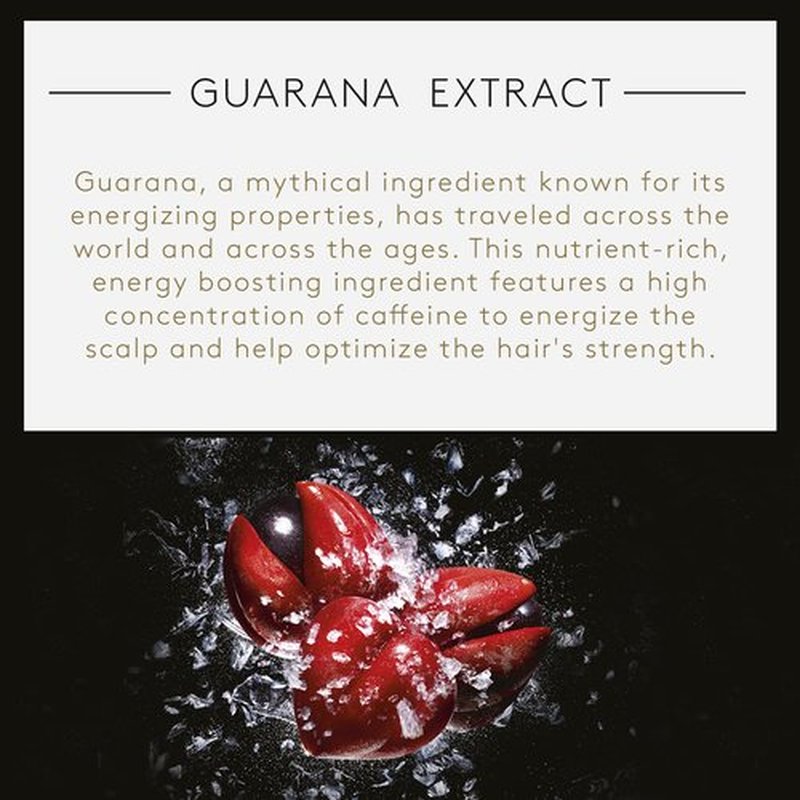 Rene Furterer Forticea Strengthening Shampoo - Revitalize Scalp with Rosemary & Niacinamide - Sulfate-Free, Gentle Daily Use
