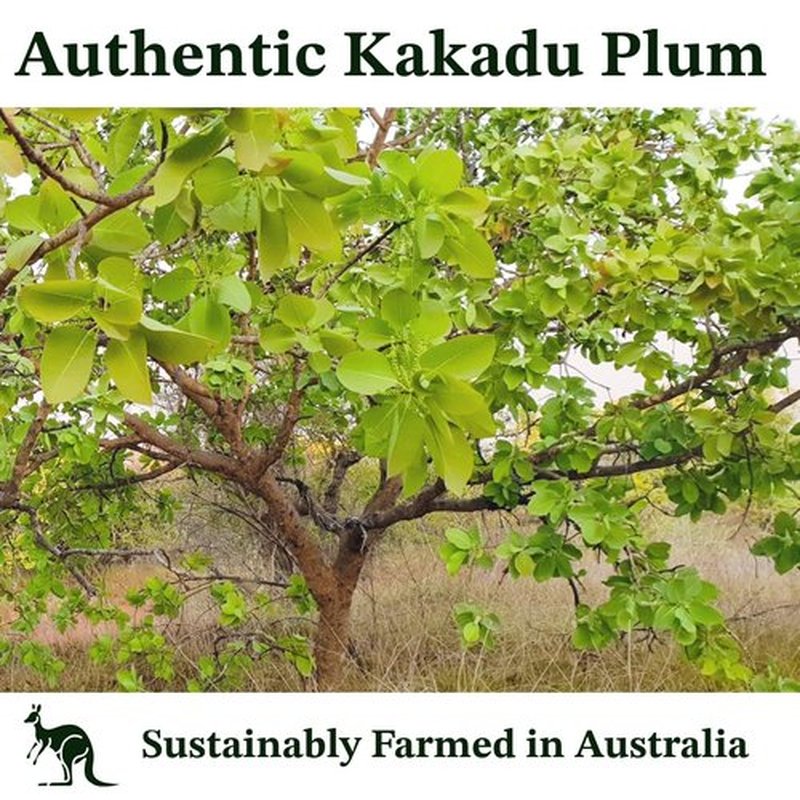 Generic Vitamin C Serum, Pure Kakadu Plum Oil 2 oz