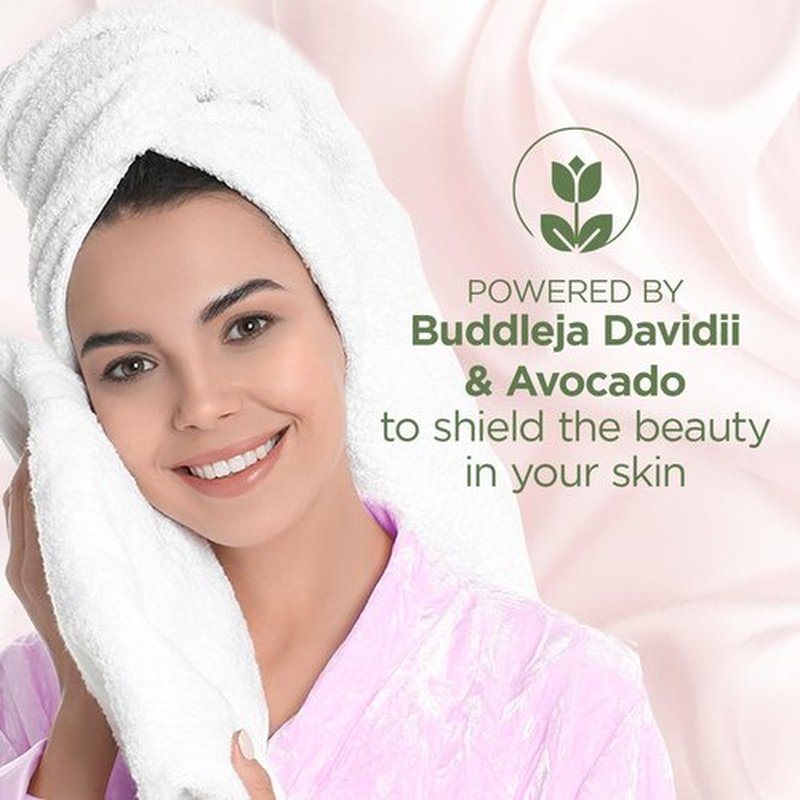 TEATRICAL Face Moisturizer with Avocado & Stem Cells, Moisturizing Face Cream for Women, Hydrating Day Facial Moisturizer, Stem Cell Cream, Facial Skin Care, 7 Oz (2 Pack)