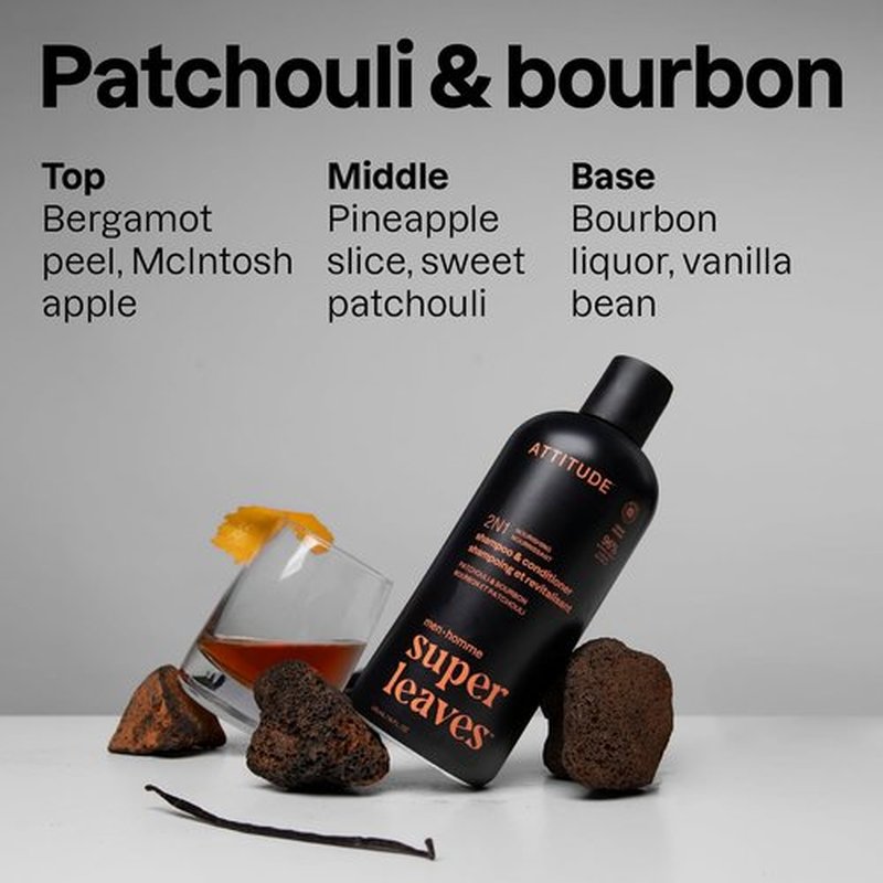 ATTITUDE Men's 2-in-1 Shampoo & Conditioner - Nourishing Formula for Dry Hair & Scalp | 14 Fl Oz, EWG Verified
