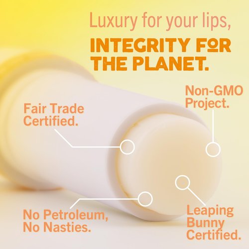 Eco Lips Conditioning Lip Soother Lip Balm – Natural & Moisturizing Lip Care with Shea & Murumuru Butter, Clean Beauty, Daily Hydration & Protection for Chapped Lips, Variety 3-pack 0.15 oz.