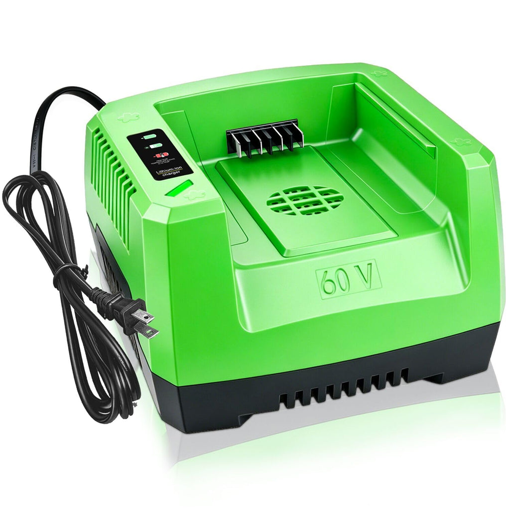 DTK Fast Charging Replacement for Greenworks 60V Chargers CH60R00 CH60DP01 2936902 60DPC10A Rapid Ultra Turbo Battery Charger