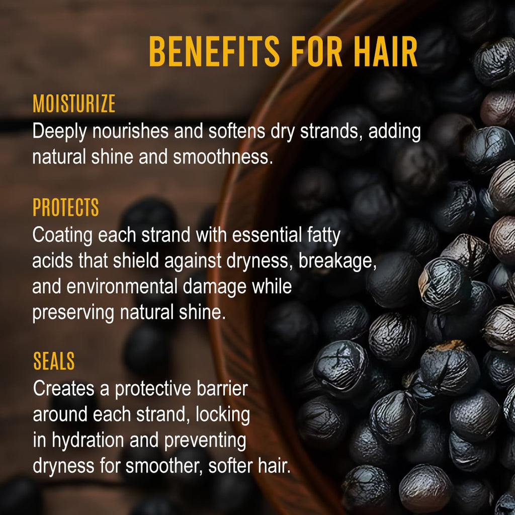 Renewalize Black Currant Seed Oil Cold Pressed – 100% Pure Natural Carrier Oil for Skin & Hair | Rich in GLA & Omega Fatty Acids | Moisturizer for Face, Scalp, Nails | 4 fl oz