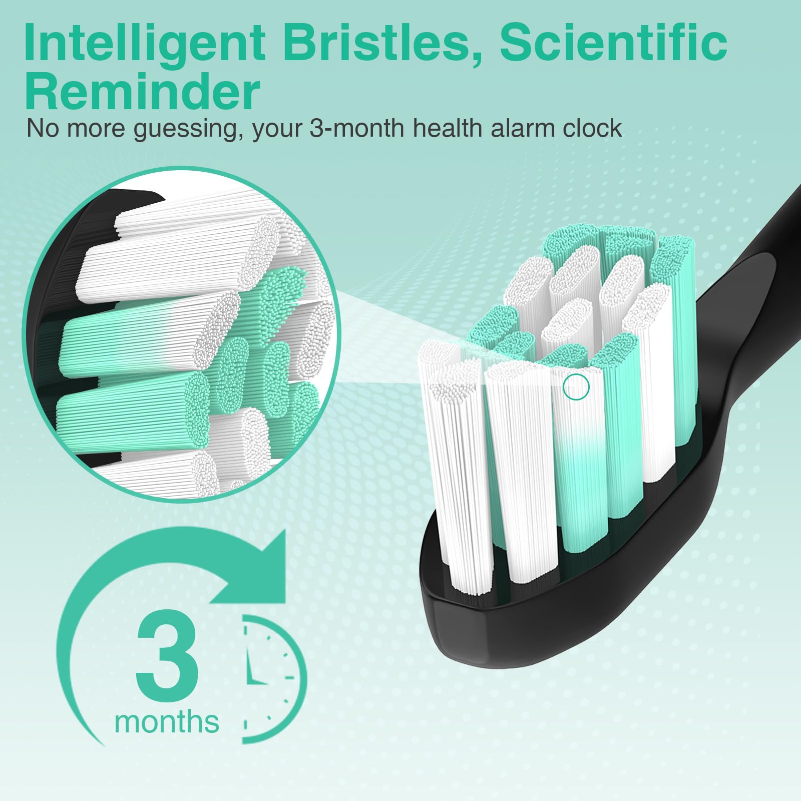 Aoremon Replacement Heads for Philips Sonicare C2 W, 8 Count Black