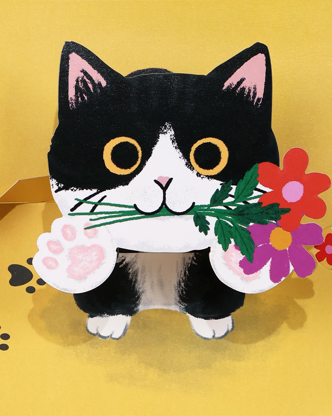 Coralogo Funny Cat Father's Day Pop Up Cards - 3D Card for Cat Dad Mom Husband Grandpa Men Him - Thanks for Putting up with My Crap - Fun Gift for Birthday Mother's Day Thank You from Son Daughter
