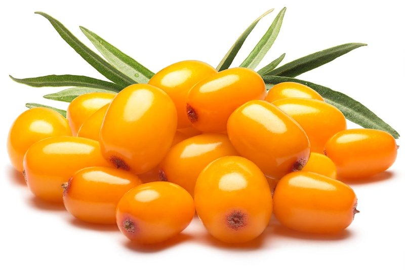 US Organic Sea Buckthorn Berry Oil - 100% Pure Virgin & Unrefined | Supercritical CO2 Extracted, 1 oz