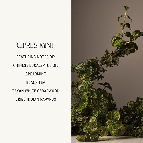 Homecourt Room Deodorant, Natural Room Spray, Fragrance of Spearmint & Cedarwood, For Kitchen, Bathroom & more, Clean Formula, Cipres Mint, 3.4 oz