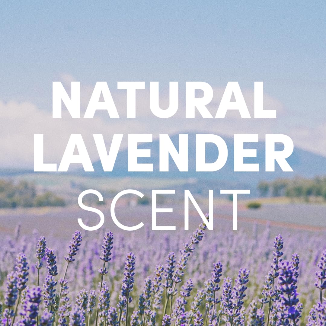 Clean Revolution Foaming Hand Soap Refill Supply Container. Ready to Use Formula. Natural Lavender Fragrance, 128 Fl. Oz